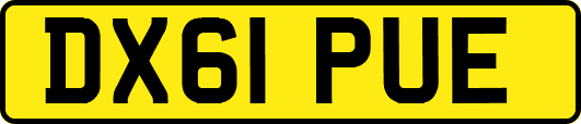 DX61PUE
