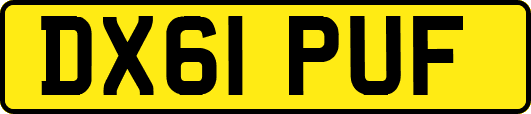 DX61PUF