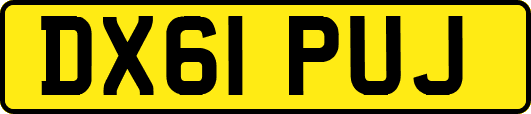 DX61PUJ