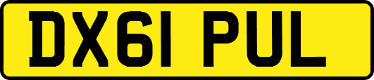 DX61PUL