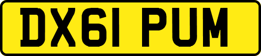 DX61PUM
