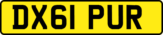 DX61PUR