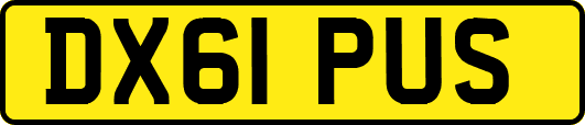 DX61PUS