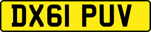 DX61PUV