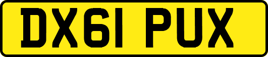 DX61PUX