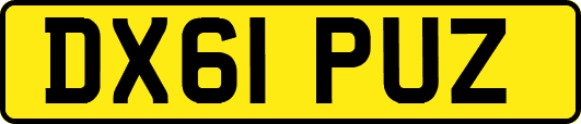 DX61PUZ