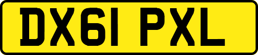 DX61PXL