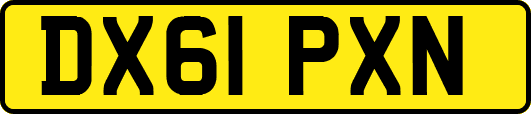 DX61PXN
