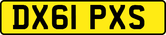 DX61PXS