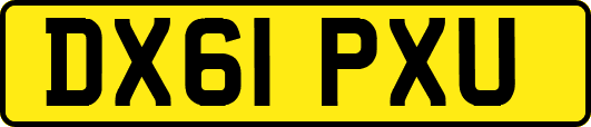 DX61PXU