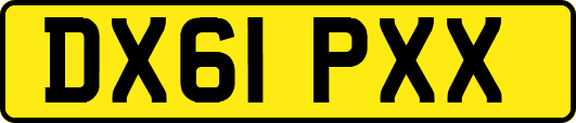 DX61PXX
