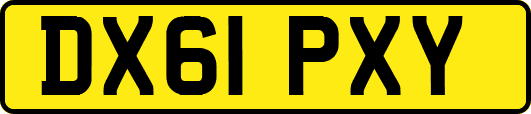 DX61PXY