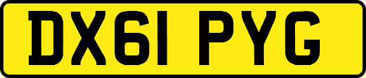 DX61PYG