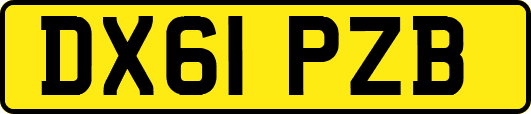 DX61PZB