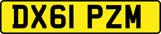 DX61PZM