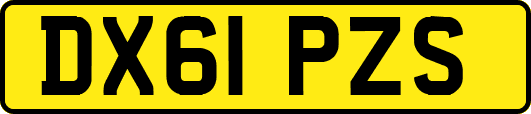 DX61PZS