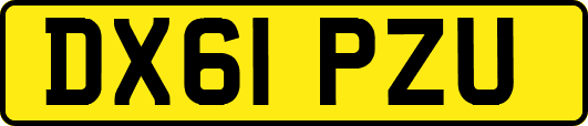 DX61PZU