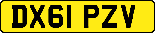 DX61PZV