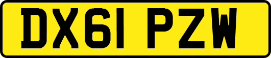 DX61PZW