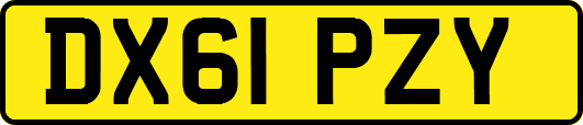 DX61PZY
