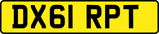 DX61RPT