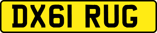 DX61RUG