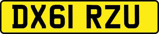 DX61RZU