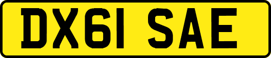 DX61SAE