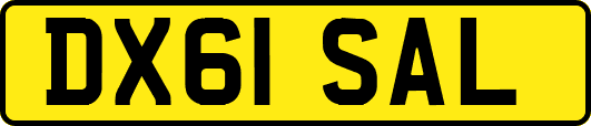DX61SAL