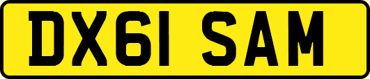 DX61SAM