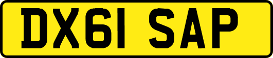DX61SAP