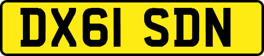 DX61SDN