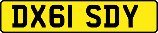 DX61SDY