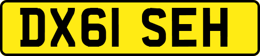 DX61SEH