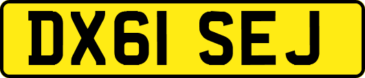 DX61SEJ