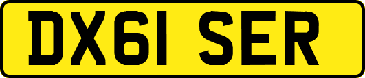 DX61SER