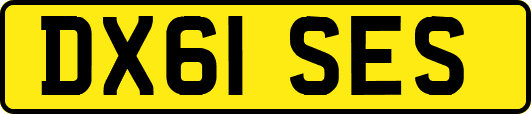 DX61SES