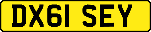 DX61SEY