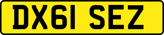 DX61SEZ