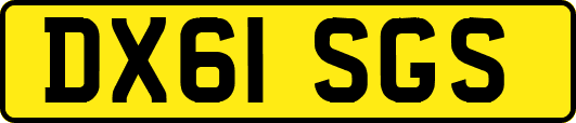 DX61SGS