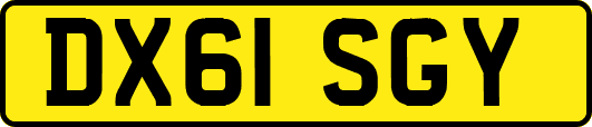 DX61SGY