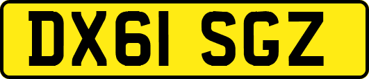 DX61SGZ