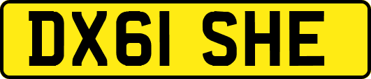 DX61SHE