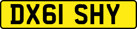 DX61SHY