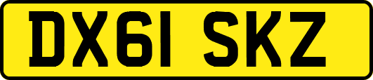 DX61SKZ