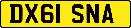 DX61SNA