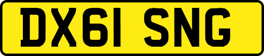 DX61SNG