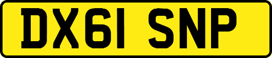 DX61SNP