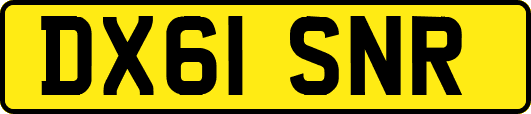 DX61SNR