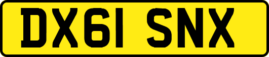 DX61SNX